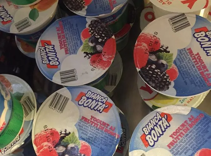 玛丽琳酒店 酒店 罗马